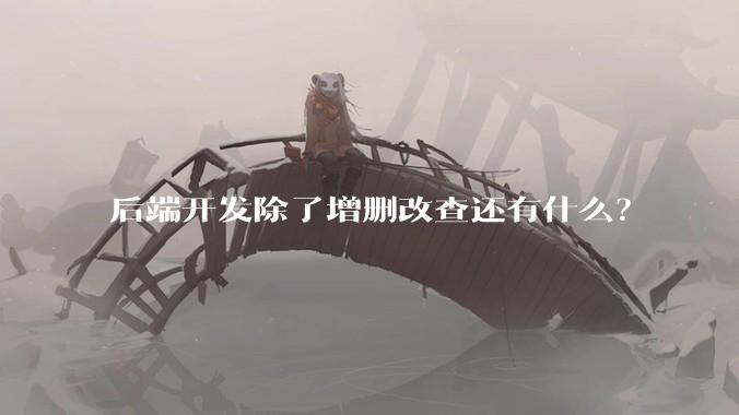 后端开发除了增删改查还有什么？