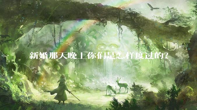 新婚那天晚上你们是怎样度过的？