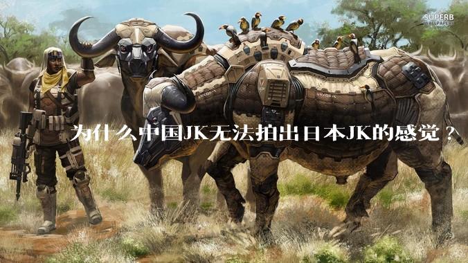 为什么中国JK无法拍出日本JK的感觉?