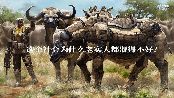 这个社会为什么老实人都混得不好？