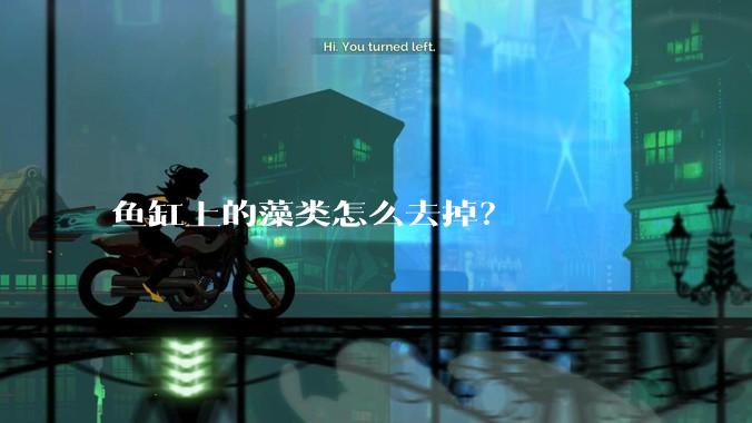 鱼缸上的藻类怎么去掉？