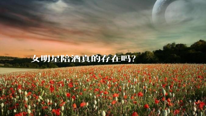 女明星陪酒真的存在吗？