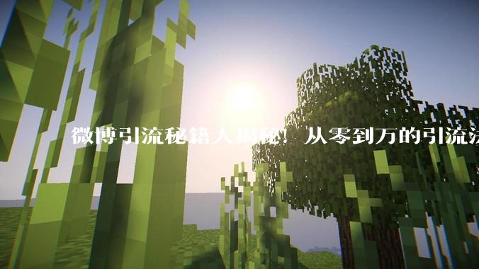 微博引流秘籍大揭秘！从零到万的引流法则 - *