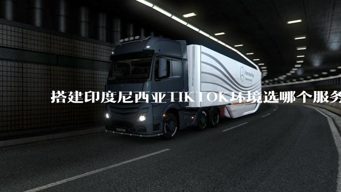 搭建印度尼西亚TIKTOK环境选哪个服务器 印度尼西亚高性价比vps推荐 - *