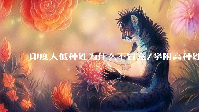 印度人低种姓为什么不冒充/攀附高种姓以获得阶层跃升和优待呢？