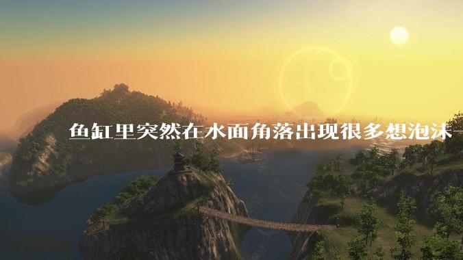 鱼缸里突然在水面角落出现很多想泡沫一样的气泡是怎么回事？