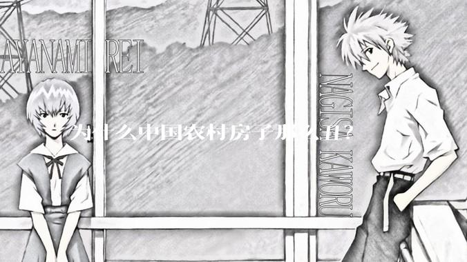 为什么中国农村房子那么丑？