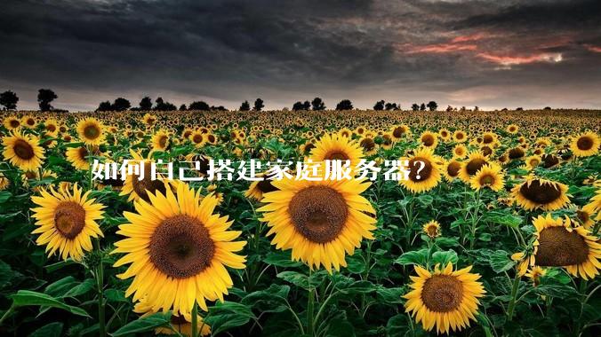 如何自己搭建家庭服务器？