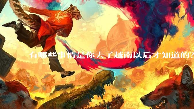 有哪些事情是你去了越南以后才知道的？