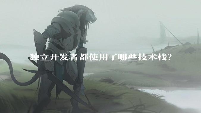 独立开发者都使用了哪些技术栈？