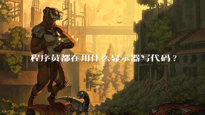 程序员都在用什么显示器写代码?