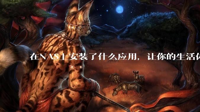 在NAS上安装了什么应用，让你的生活体验有了巨大的提升？