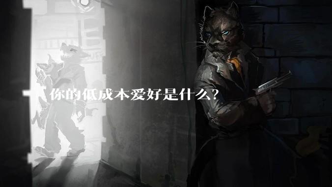 你的低成本爱好是什么？