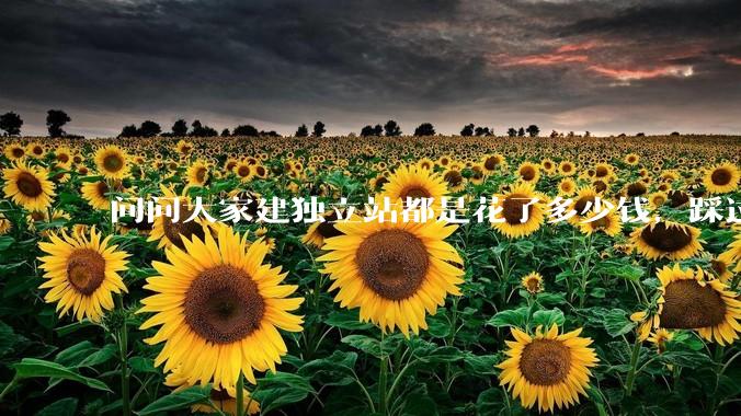 问问大家建独立站都是花了多少钱，踩过哪些坑？