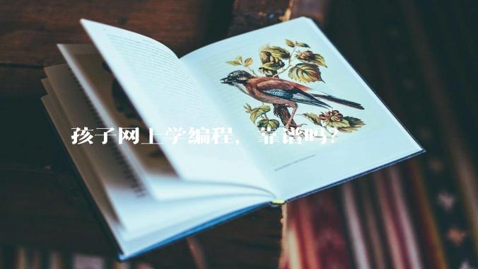 孩子网上学编程，靠谱吗？