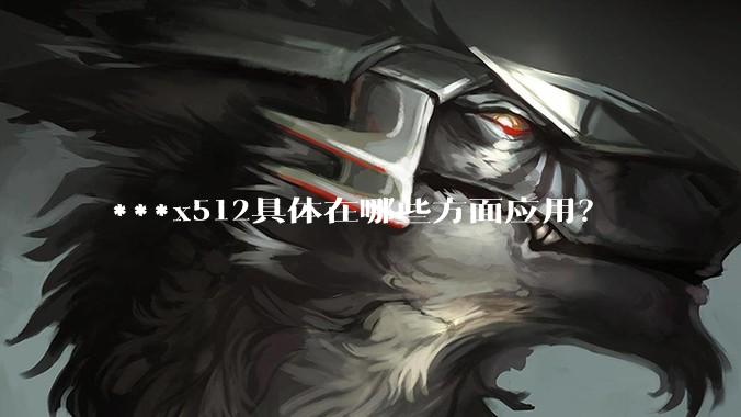 ***x512具体在哪些方面应用？